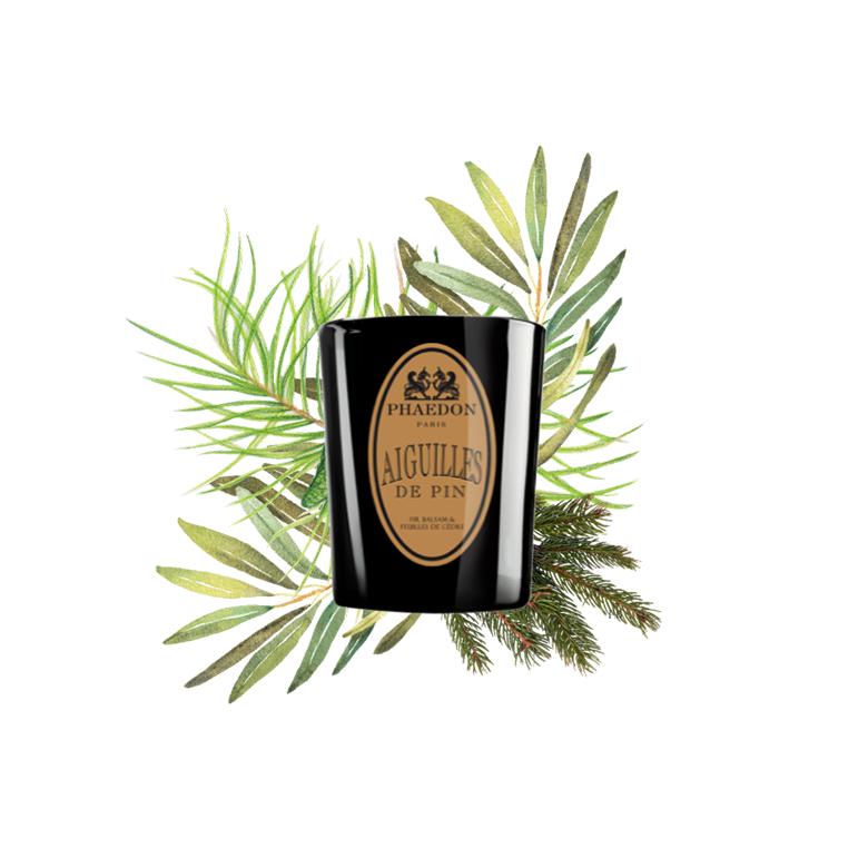 Phaedon Paris - Parisienne Scented Candle 190g - Aiguilles de Pin, pine needles absolute, mugwort, eucalyptus and galbanum