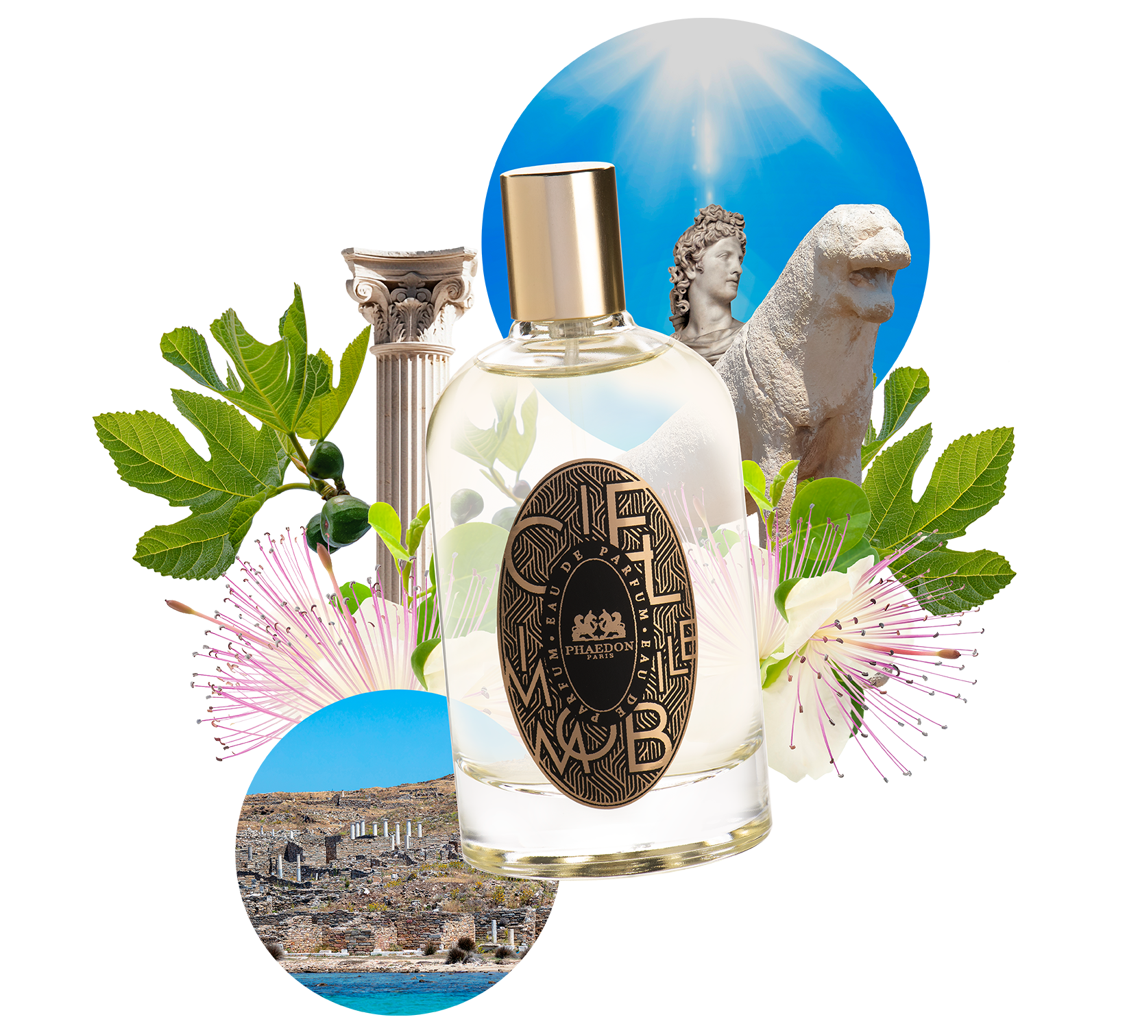 Eau de Parfum, fraîcheur Solaire, Fleurs de câpriers, figuier, cuir. Eau de Parfum, solar freshness, caper blossoms, fig tree, leather.